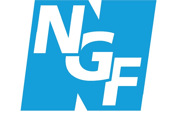 NGF: A decade of support